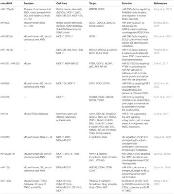 The Impact of lncRNAs and miRNAs in Regulation of Function of Cancer Stem Cells and Progression of Cancer